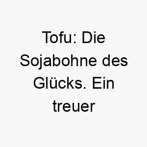 tofu die sojabohne des gluecks ein treuer begleiter mit einfachem charme 26500