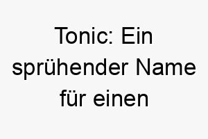 tonic ein spruehender name fuer einen erfrischenden und sprudelnden vierbeiner 26234