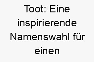 toot eine inspirierende namenswahl fuer einen kleinen bellenden wirbelwind 26418