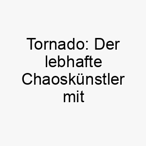 tornado der lebhafte chaoskuenstler mit energetischer hundekraft 26230