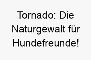 tornado die naturgewalt fuer hundefreunde 26493