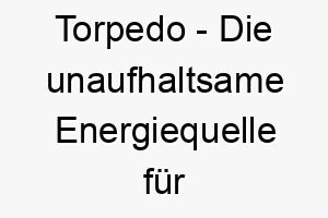 torpedo die unaufhaltsame energiequelle fuer deinen aktiven wasserhund 26491