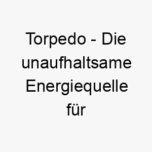 torpedo die unaufhaltsame energiequelle fuer deinen aktiven wasserhund 26491