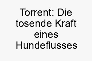 torrent die tosende kraft eines hundeflusses 26463