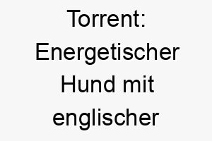 torrent energetischer hund mit englischer bedeutung strom oder flut 26268