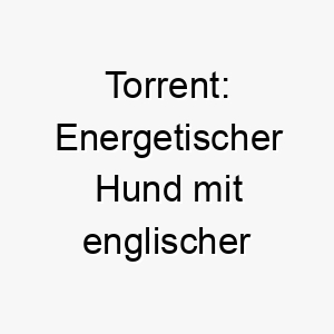 torrent energetischer hund mit englischer bedeutung strom oder flut 26268