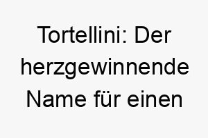 tortellini der herzgewinnende name fuer einen bezaubernden vierbeiner 26467