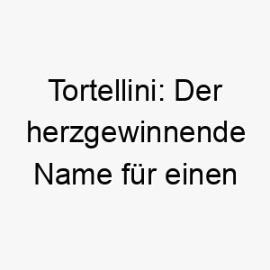 tortellini der herzgewinnende name fuer einen bezaubernden vierbeiner 26467