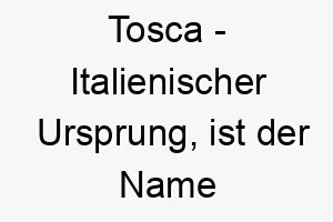 tosca italienischer ursprung ist der name einer oper von puccini bedeutung als hundename 2 12084