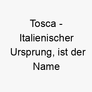 tosca italienischer ursprung ist der name einer oper von puccini bedeutung als hundename 2 12084