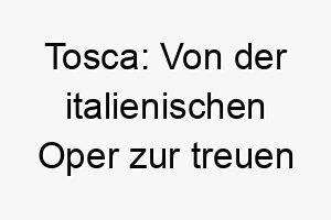 tosca von der italienischen oper zur treuen begleitung 11710