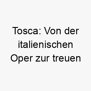 tosca von der italienischen oper zur treuen begleitung 11710