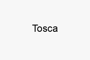 tosca 9316 2