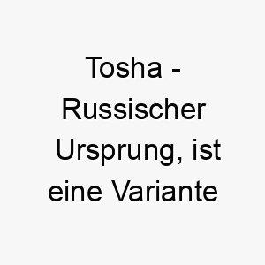 tosha russischer ursprung ist eine variante von tasha und bedeutet geburtstag bedeutung als hundename 12088