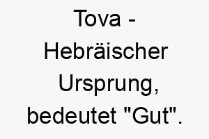 tova hebraeischer ursprung bedeutet gut bedeutung als hundename 12072