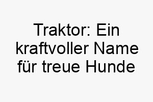 traktor ein kraftvoller name fuer treue hunde voller staerke 26749