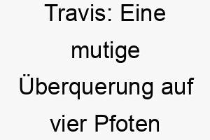 travis eine mutige ueberquerung auf vier pfoten 26220