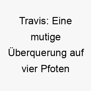 travis eine mutige ueberquerung auf vier pfoten 26220