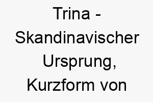 trina skandinavischer ursprung kurzform von katarina bedeutet rein bedeutung als hundename 12085