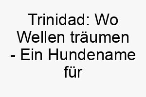 trinidad wo wellen traeumen ein hundename fuer wahre wassergoetter 26470