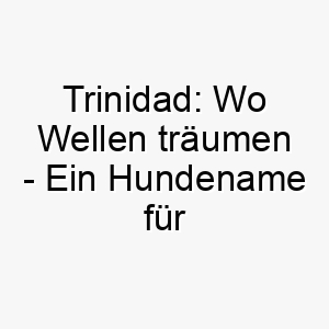 trinidad wo wellen traeumen ein hundename fuer wahre wassergoetter 26470