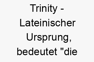 trinity lateinischer ursprung bedeutet die dreifaltigkeit 9376