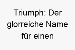 triumph der glorreiche name fuer einen siegreichen hund 26481