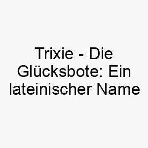 trixie die gluecksbote ein lateinischer name mit hundehalter bedeutung 11711