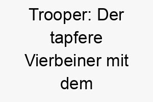 trooper der tapfere vierbeiner mit dem englischen namen der fuer mut und loyalitaet steht 26468