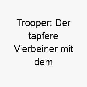 trooper der tapfere vierbeiner mit dem englischen namen der fuer mut und loyalitaet steht 26468