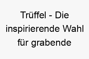 trueffel die inspirierende wahl fuer grabende und schnueffelnde hunde 26227