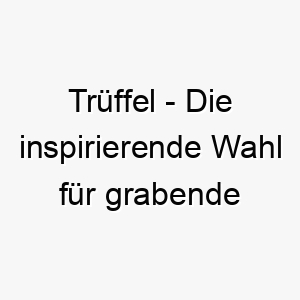 trueffel die inspirierende wahl fuer grabende und schnueffelnde hunde 26227