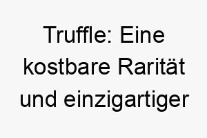 truffle eine kostbare raritaet und einzigartiger begleiter 26597