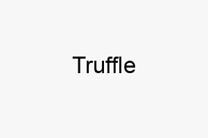 truffle 9365 1