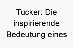 tucker die inspirierende bedeutung eines englischen namens fuer stoffliebhaber hunde 26218