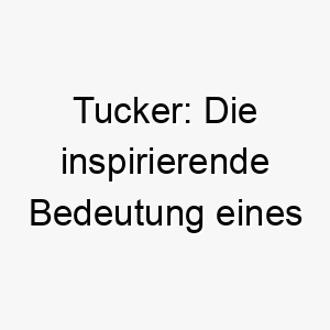 tucker die inspirierende bedeutung eines englischen namens fuer stoffliebhaber hunde 26218