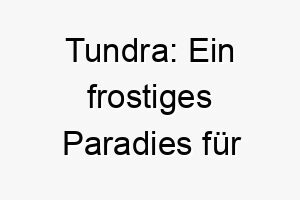 tundra ein frostiges paradies fuer schneeliebhaber der perfekte name fuer deinen coolen begleiter 26466