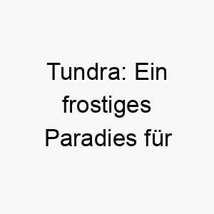 tundra ein frostiges paradies fuer schneeliebhaber der perfekte name fuer deinen coolen begleiter 26466