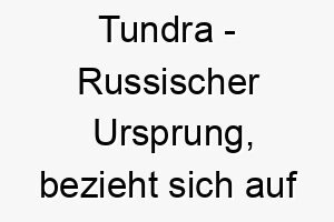 tundra russischer ursprung bezieht sich auf die kalte wuestenlandschaft in der arktis bedeutung als hundename 12074