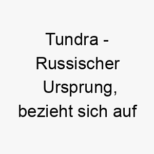 tundra russischer ursprung bezieht sich auf die kalte wuestenlandschaft in der arktis bedeutung als hundename 12074