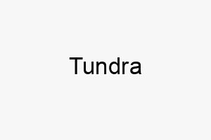 tundra 9453 1