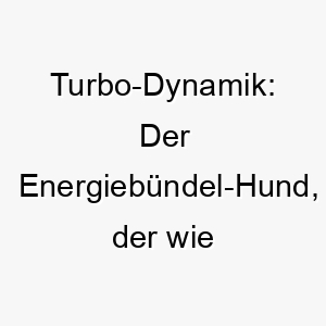 turbo dynamik der energiebuendel hund der wie ein turbolader durchs leben saust 26390