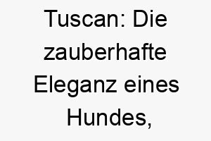 tuscan die zauberhafte eleganz eines hundes inspiriert von der schoenheit der toskana 26236