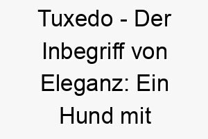 tuxedo der inbegriff von eleganz ein hund mit stil 26235