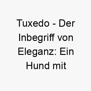 tuxedo der inbegriff von eleganz ein hund mit stil 26235