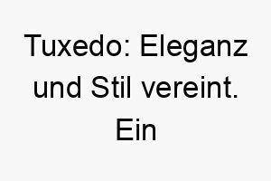 tuxedo eleganz und stil vereint ein inspirierender name fuer anspruchsvolle hunde 26453