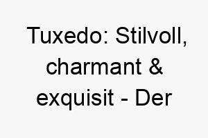 tuxedo stilvoll charmant exquisit der elegante hauch von klasse fuer deinen treuen begleiter 26716