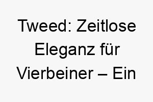 tweed zeitlose eleganz fuer vierbeiner ein hauch von schottland 26425