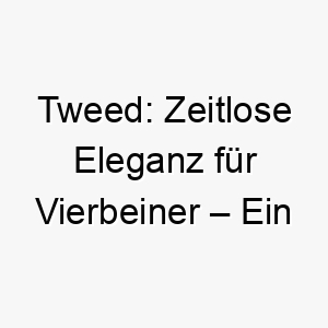 tweed zeitlose eleganz fuer vierbeiner ein hauch von schottland 26425