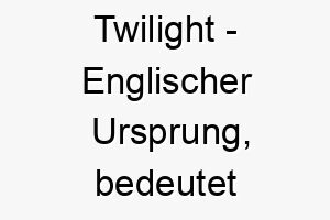 twilight englischer ursprung bedeutet daemmerung bedeutung als hundename 2 12034